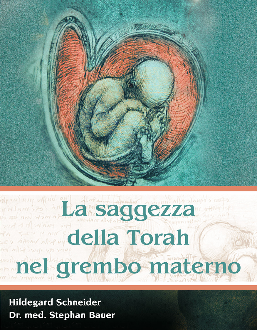 La saggezza della Torah nel grembo materno
